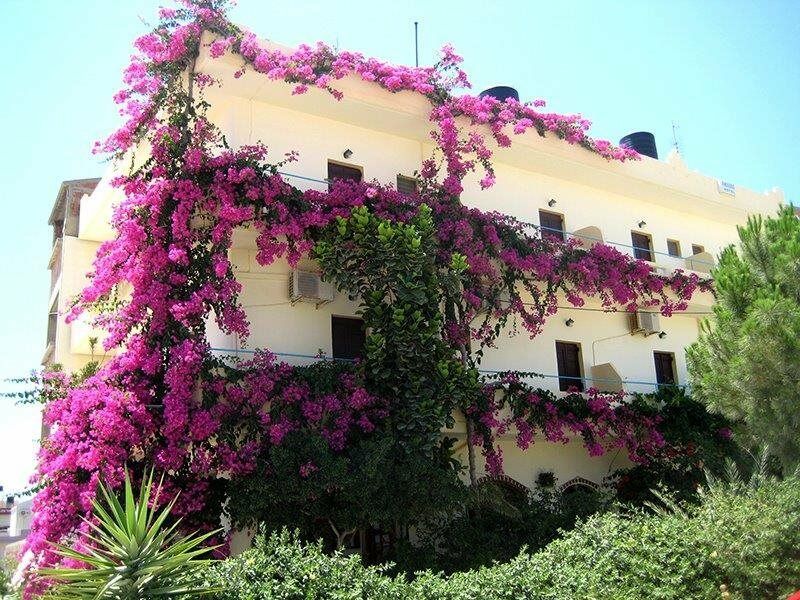 Knossos Hotel Каламаки Екстериор снимка